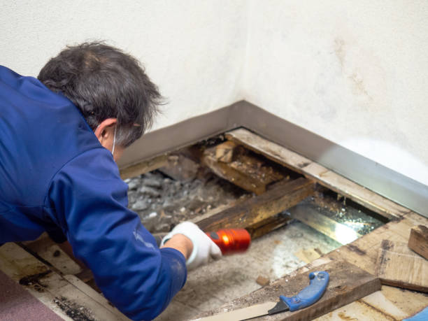 Water Damage Restoration in Beechwood Trails, OH